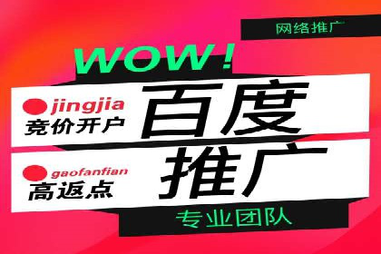 案例解析：竞价推广代运营助力企业实现精准营销
